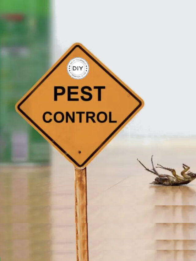 diy-pest-control