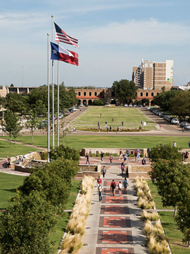 top texas universities