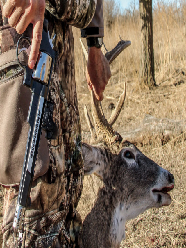 Top deer hunting states