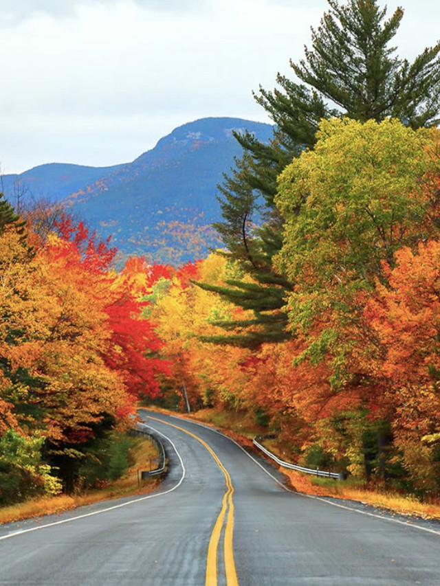 best fall foliage